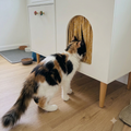 Privacy Curtains for Cat Litter Box Enclosure | Fabric Entryway Drape